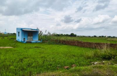 Plot Near Tankapani Sai Temple